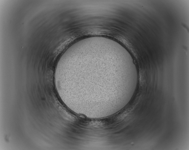 X0000101650445200807241358