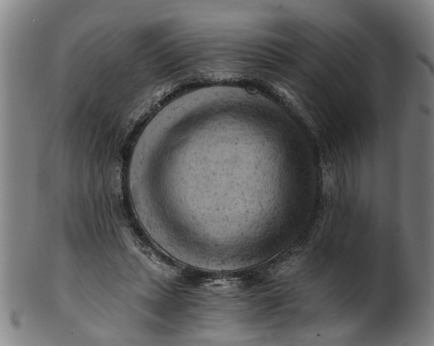 X0000101650447200807241358