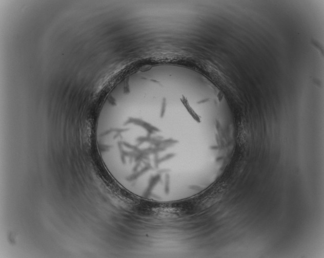 X0000101650448200807241358