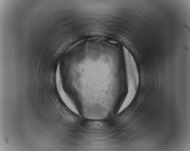 X0000101650449200807241358