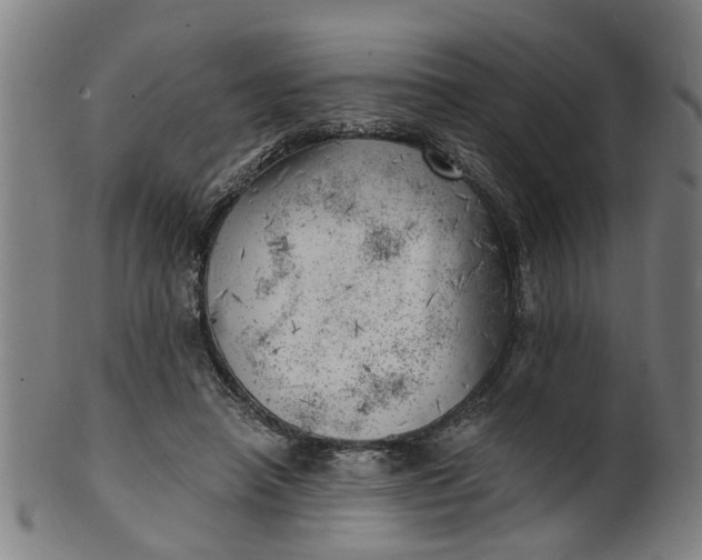 X0000101650450200807241358