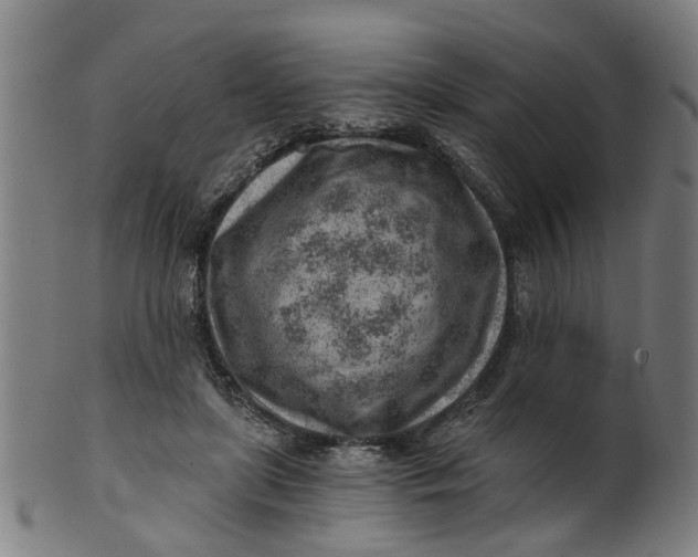 X0000101650451200807241358