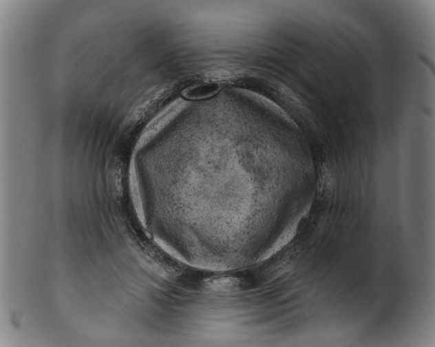 X0000101650452200807241358