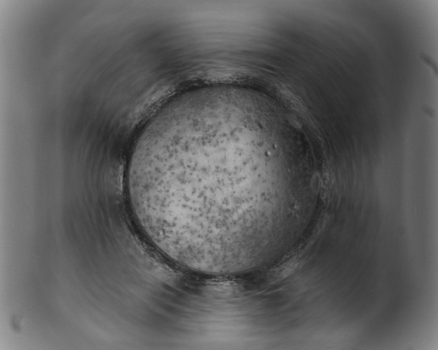 X0000101650454200807241358