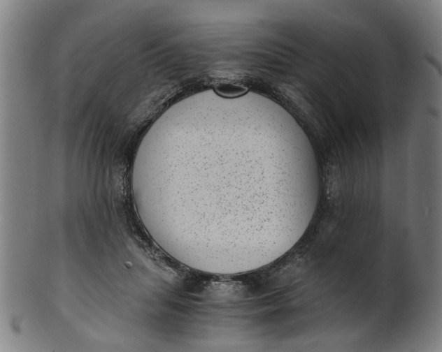 X0000101650455200807241358