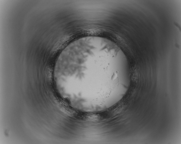 X0000101650456200807241358