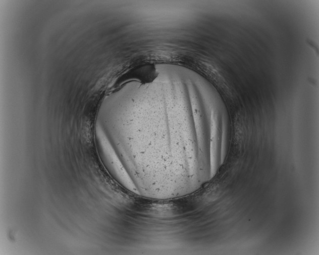 X0000101650457200807241358