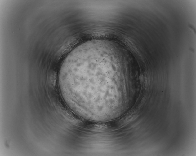 X0000101650458200807241358