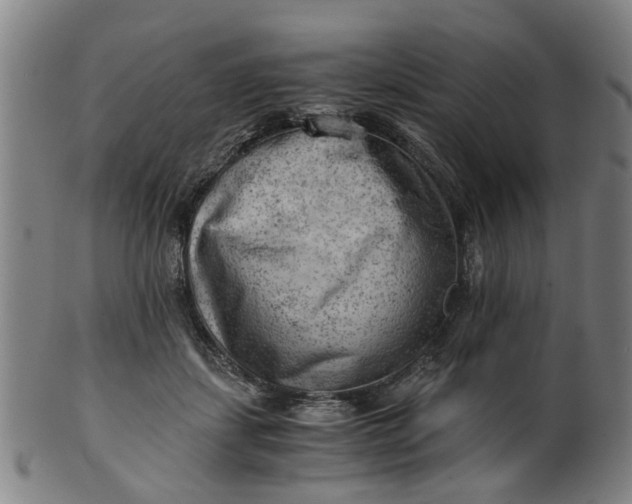 X0000101650459200807241358