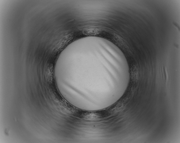 X0000101650460200807241358