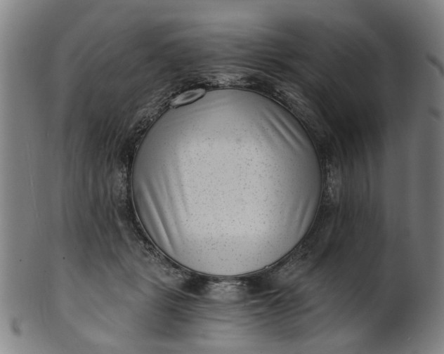 X0000101650461200807241358