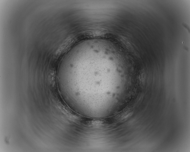 X0000101650462200807241359