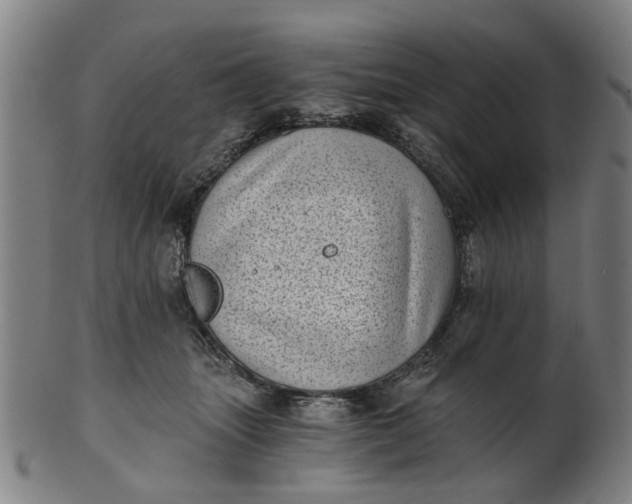 X0000101650463200807241359