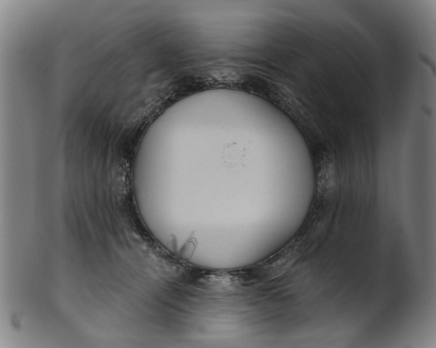 X0000101650464200807241359