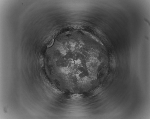 X0000101650465200807241359