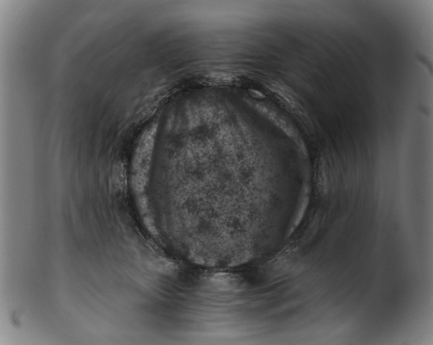 X0000101650467200807241359