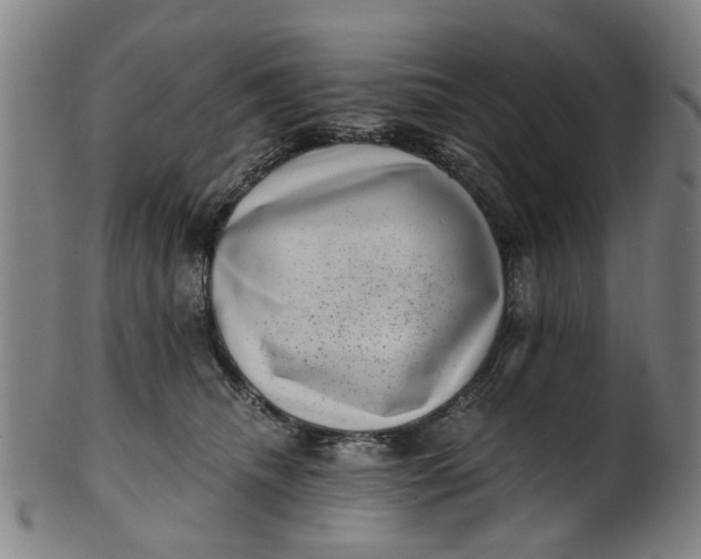 X0000101650468200807241359