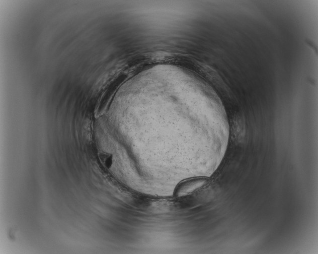 X0000101650470200807241359