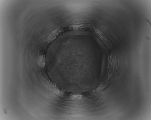 X0000101650471200807241359