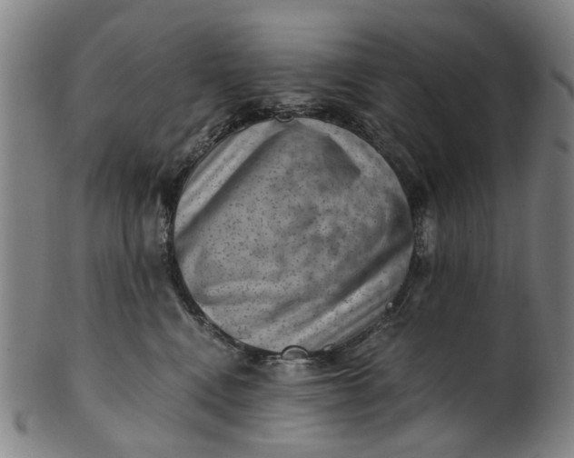 X0000101650472200807241359