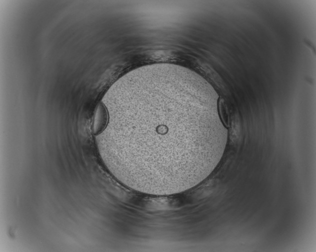 X0000101650473200807241359