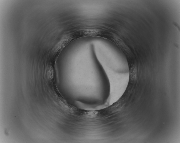 X0000101650474200807241359