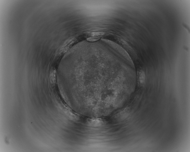 X0000101650475200807241359