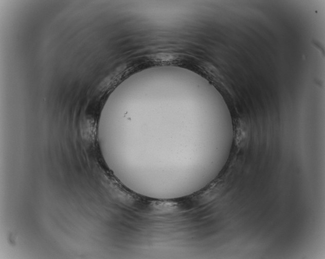 X0000101650476200807241359