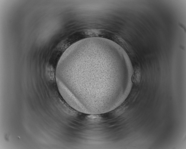 X0000101650477200807241359