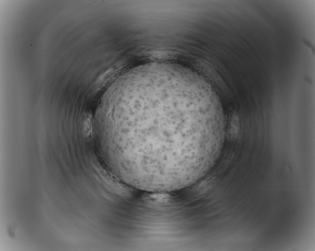 X0000101650478200807241359