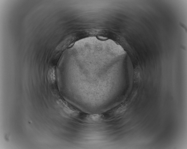 X0000101650479200807241359