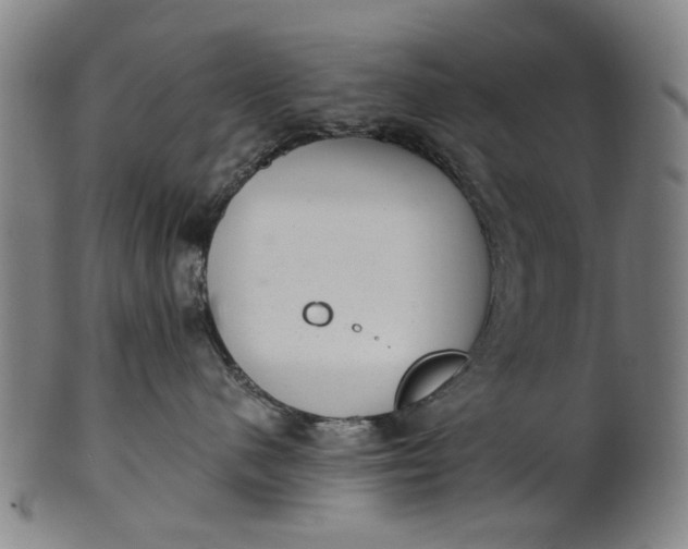 X0000101650480200807241359