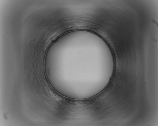 X0000101650481200807241358