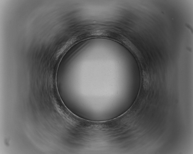 X0000101650482200807241358