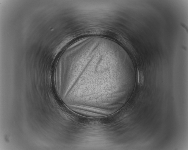 X0000101650483200807241358