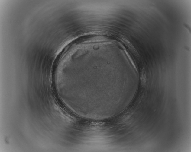 X0000101650484200807241358