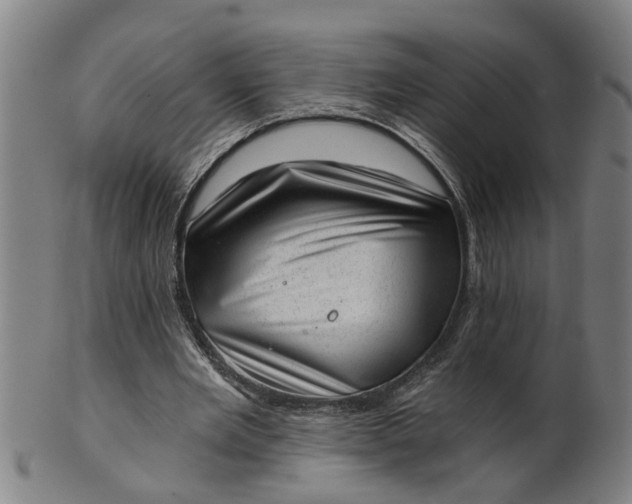 X0000101650485200807241358