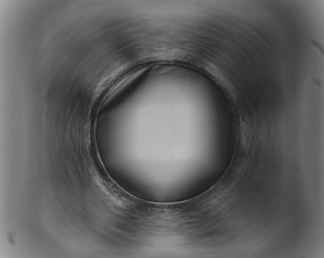 X0000101650486200807241358