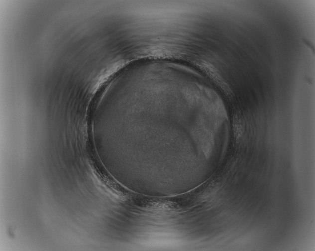 X0000101650488200807241358