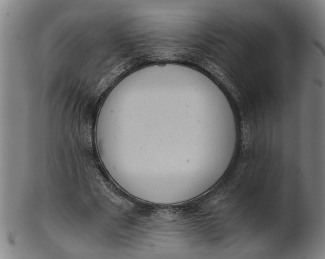 X0000101650489200807241358