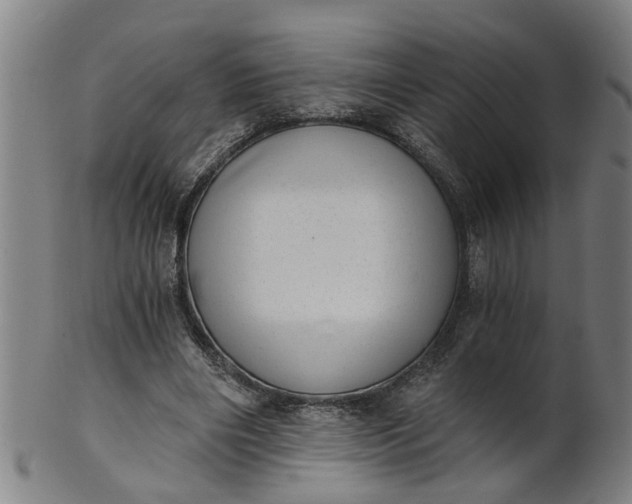 X0000101650490200807241358