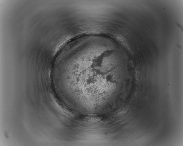 X0000101650491200807241358