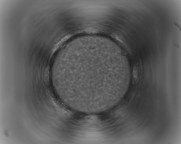 X0000101650492200807241358