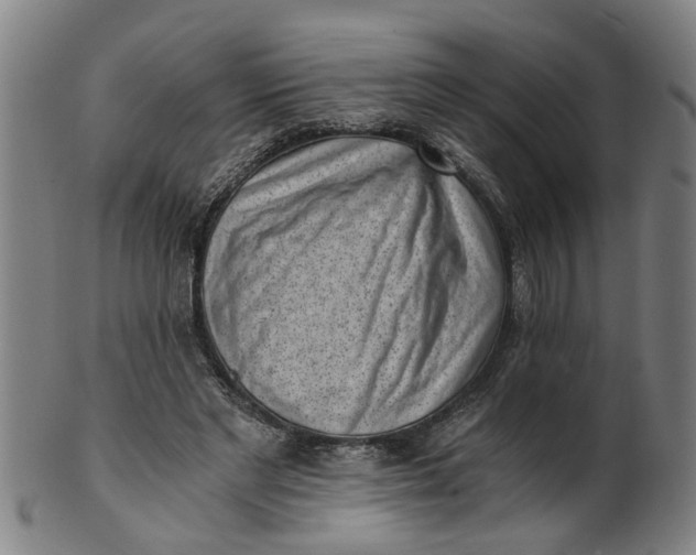 X0000101650493200807241358