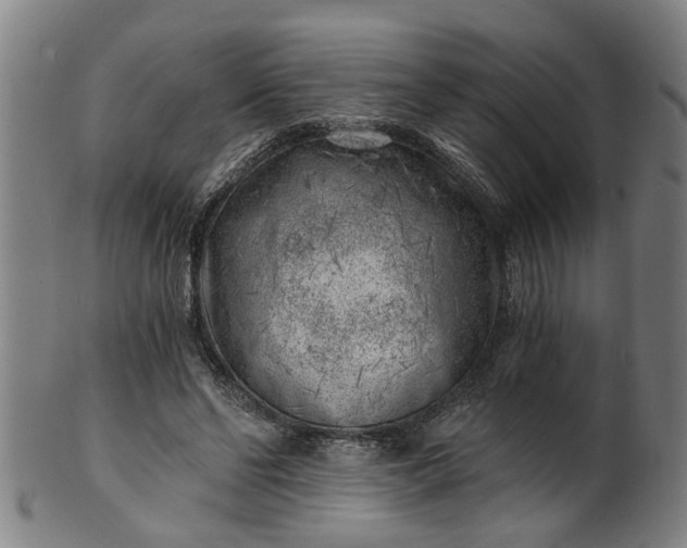 X0000101650494200807241358