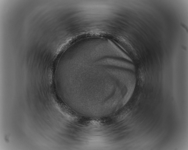 X0000101650496200807241358