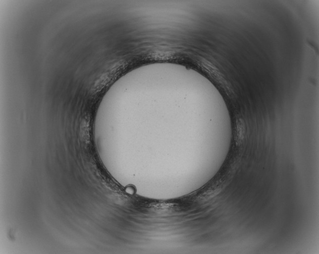 X0000101650497200807241358