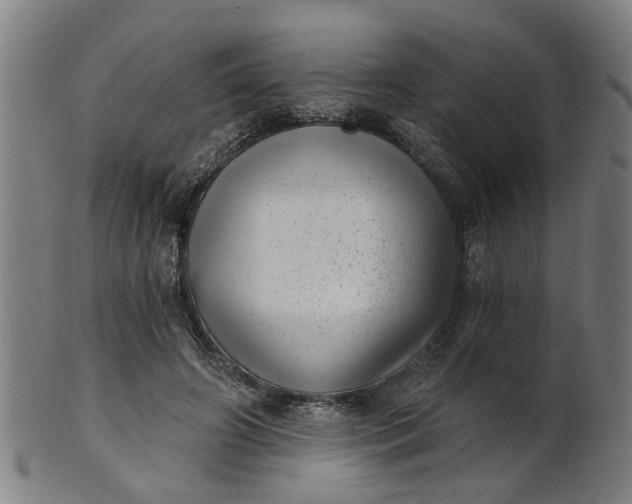 X0000101650498200807241358