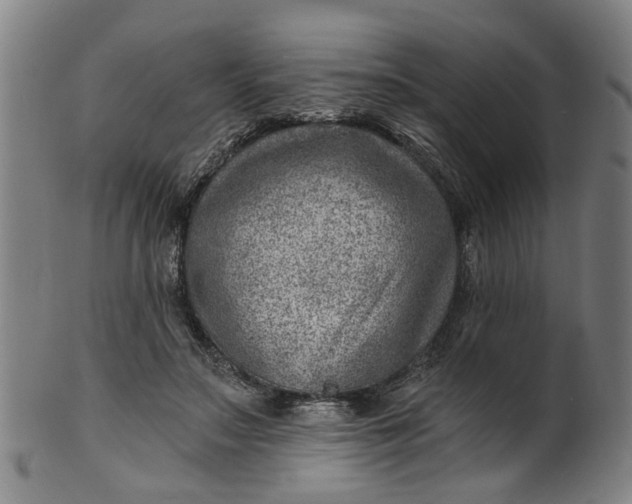 X0000101650499200807241358