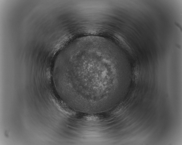 X0000101650500200807241358